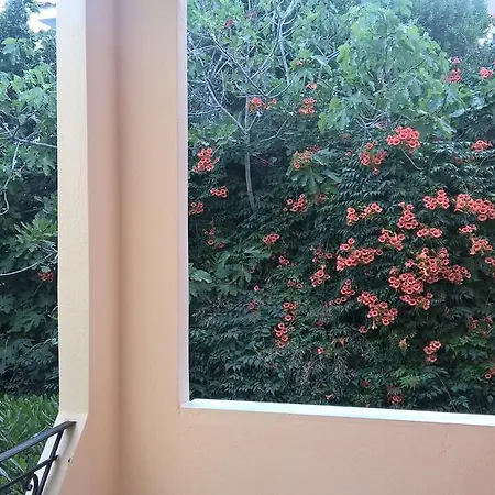 Muses * Neos Marmaras