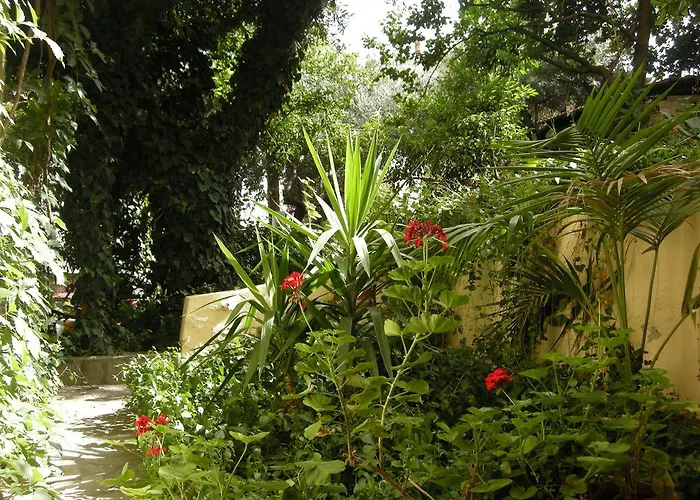 Muses Néos Marmarás