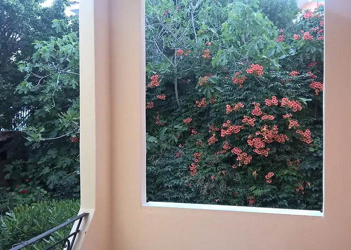 Muses * Néos Marmarás