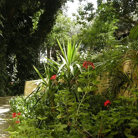 Muses نيوس مارماراس