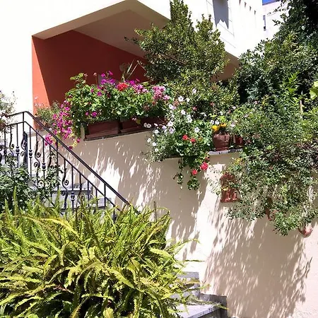 Muses * نيوس مارماراس